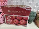 京鲜生 烟台红富士苹果 净重10斤  单果160g以上 水果礼盒 实拍图