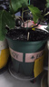 九千谷加仑花盆 高5加仑升级款 园艺绿植花盆塑料花盆30*30cm 2个装5945 实拍图