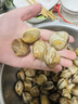 鲜京采 鲜活美贝 17-22粒/斤 净重5斤 蛤蜊花蛤生鲜海鲜 源头直发 实拍图