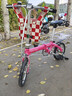 大行（DAHON）折叠自行车14英寸超轻便携小轮男女式单车BYA412 粉色 实拍图