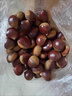 丹东新鲜板栗生栗子当季5斤现摘毛油栗子嫩板栗锥栗整箱生鲜蔬 2斤 【中果】净重1.8斤 实拍图