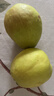 京鲜生 新疆库尔勒香梨 净重10斤 特级 单果120g以上 生鲜水果 实拍图