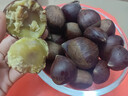 丹东新鲜板栗生栗子当季5斤现摘毛油栗子嫩板栗锥栗整箱生鲜蔬 2斤 【中果】净重1.8斤 实拍图