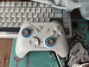 飞智冰原狼2 多模版无线游戏手柄 类xbox霍尔线性扳机switch电脑PC手机steam体感NS双影奇境怪物猎人 实拍图
