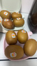 佳沛（zespri）新西兰  阳光金奇异果10粒礼盒巨大果单果约144-175g 水果 猕猴桃 实拍图