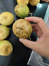 探味君 广西钦蜜9号黄金百香果 新鲜水果白香果酱原浆整箱 生鲜 净重8.5-8.99斤【单果65-80g】 实拍图