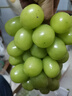 京鲜生 阳光玫瑰葡萄 青提4-4.5斤礼盒装 单果约10g 生鲜水果 生鲜礼盒 实拍图