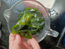 禾煜 优级裙带菜180g海木耳 海产南北干货 海带煲汤凉拌 实拍图