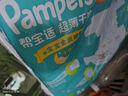 帮宝适（Pampers） 超薄干爽婴幼儿绿帮纸尿裤男女通用尿不湿 L164片【9-14kg】 实拍图