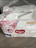 好奇（Huggies）皇家小龙裤拉拉裤XL32片(12-17kg)尿不湿【30倍爆吸】 实拍图