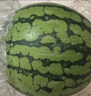 京鲜生 无籽麒麟大西瓜 1粒装 7-9斤 生鲜水果 实拍图