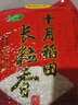 十月稻田 2025年新米 长粒香大米 10斤（东北大米 香米 5公斤/十斤） 实拍图