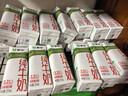 蒙牛全脂纯牛奶211ml*10盒  小规格易吸收 礼盒定制 实拍图