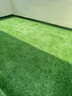 清雅仿真草坪地毯假草皮铺垫塑料户外人造球场人工围挡幼儿园绿色地垫 2厘米全新升级11针加密优质B级款 (2米宽1米长)2平方（最长25m需要多长拍几件） 实拍图