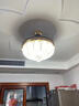雷士（NVC）LED灯盘吸顶灯替换灯芯磁吸光源模组环形灯管改装套件40瓦三色光 实拍图