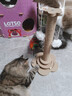 HELLOJOY猫抓柱剑麻猫抓板猫玩具耐抓耐磨不掉屑猫爬架立式自嗨解闷用品 实拍图