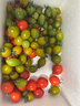 京鲜生 山东三色小番茄圣女果组合颜色随机净重3斤新鲜蔬菜源头直发 实拍图
