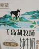 新希望千岛湖牧场纯牛奶200ml1月生产学生3.6g优质蛋白聚会年货礼盒送礼 千岛湖牛奶【200ml*12盒】 纯奶 实拍图