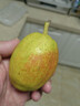 京鲜生 新疆库尔勒香梨 净重10斤 特级 单果120g以上 生鲜水果 实拍图