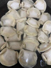 湾仔码头韭菜猪肉水饺1320g66只早餐食品速食半成品面点生鲜速冻饺子 实拍图