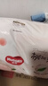 好奇（Huggies）铂金装小桃裤成长裤XL96片(12-17kg)加大号尿不湿【透爽散热】 实拍图