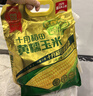 十月稻田 四平黄糯玉米 3.52斤(220g*8根)东北玉米棒 低脂早餐 零食 实拍图
