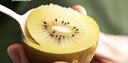 佳沛（zespri）新西兰 阳光金奇异果12粒礼盒特大果单果约122-146g 猕猴桃 水果 实拍图