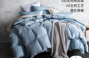 斯诺曼高档100支贡缎95%白鹅绒羽绒被芯 子母被子2.2*2.4m充450g+900g蓝 实拍图