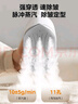 美的（Midea）【爆款热卖】手持挂烫机家用熨烫机/便携大蒸汽电熨斗/小型迷你差旅熨衣神器团购/政府补贴YS-10T1 实拍图