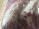 鲜京采澳洲精选原切羊肋排（偏瘦） 2斤/袋 草饲羊肉 京东自有品牌 实拍图