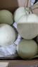 玉菇甜瓜冰淇淋现摘正宗新鲜水果整箱当季水果香瓜冰淇淋 【精品装】 9斤(净重8.5斤) 实拍图