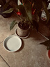 九千谷花盆托盘平边3个装圆形绿植盆栽花盆底座接水盘直径16cm白色1459 实拍图