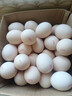 京鲜生富硒鲜鸡蛋30枚 3斤 源头直发 实拍图
