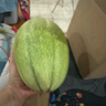 京鲜生 海南哈密瓜 西州蜜/西周蜜 2粒 5-7斤 单果2.5斤起 生鲜水果礼盒 实拍图