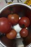 京鲜生 山东普罗旺斯西红柿 净重4.5斤 单果115g+ 沙瓤番茄 源头直发 实拍图