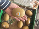 佳沛（zespri）新西兰  阳光金奇异果10粒礼盒巨大果单果约144-175g 水果 猕猴桃 实拍图
