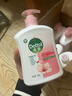 滴露（Dettol）洗手液滋润500g*6 抑菌洗手液家庭装大桶儿童消毒无酒精温和护手 实拍图