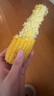 佳农 内蒙黄糯玉米棒8袋*220g 软糯香甜 真空锁鲜 源头直发 礼盒包邮 实拍图