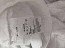 回力（Warrior）纯棉t恤男秋冬新款重磅运动上衣男士宽松打底长袖体恤 浅米  L 实拍图