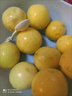 黄六爷正宗广西黄金百香果黄金钦蜜9号百香果新鲜当季水果旗舰包邮大果3 3斤中果（约20-25枚）饱满爆汁 实拍图