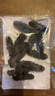 海晏堂 大连淡干海参 150g 42-54只 辽刺参 海参滋补干货礼盒海鲜送礼 实拍图