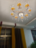 韵钰欧式吊灯客厅灯奢华水晶灯现代简欧网红餐厅卧室灯具套餐三室两厅 花开富贵8头-配全光谱三色光源 实拍图