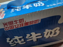 光明纯牛奶250mL*16盒 家庭量贩装浓醇营养早餐伴侣送礼 实拍图