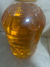 金龙鱼 食用油 非转基因 物理压榨玉米油6.18L（蕴含植物甾醇） 实拍图
