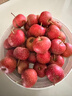 看得健【小乔农场】山楂果新鲜山楂鲜果冰糖葫芦红果孕妇水果酸甜 【小乔农场】山楂鲜果1斤装 实拍图