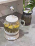 膳魔师（THERMOS） 迷你养生壶办公室煮茶器电水壶恒温电热水壶玻璃花茶壶养生杯 礼物 七夕情人节礼物 EHA-1602E-G(本白色） 0.55L 实拍图