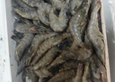 鲜京采 厄瓜多尔白虾 净重3斤/盒 特大号20-30规格   30-45只/盒 实拍图