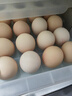 1号会员店可生食鸡蛋30枚净重3.6斤精选大码蛋礼盒装 源头直发 实拍图