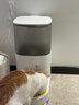 霍曼（Homerun）Real智能自动喂食器猫粮狗粮定时猫咪自动投食器（配陶瓷碗） 实拍图