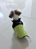嬉皮狗（hipidog）秋冬季狗狗休闲风时尚拼接两脚棉衣泰迪猫咪加厚可牵引宠物狗衣服 蒂安绿（可牵引） XS（建议体重1-3斤） 实拍图
